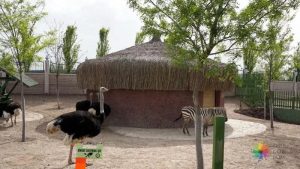 باغ‌وحش در اسکی‌شهیر