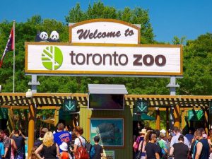 باغ وحش تورنتو کانادا