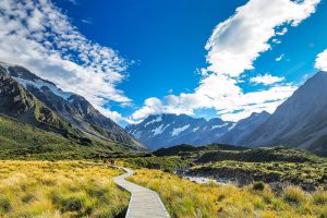 طبیعت زیبای نیوزیلند