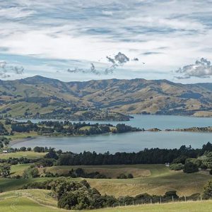 طبیعت زنده در نیوزیلند