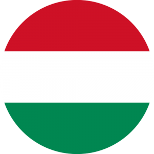تحصیل در کالج های زبان مجارستان