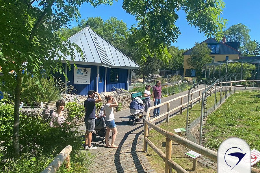 باغ وحش Aachener Tierpark Euregio
