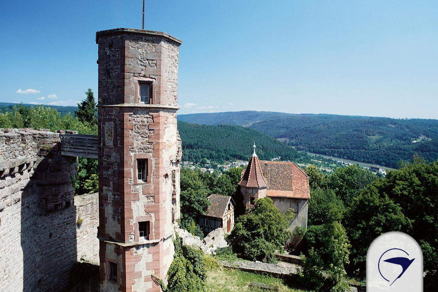 یکی از برترین جاهای دیدنی Heiligenberg، قلعه دیلسبرگ